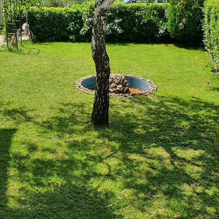 Iva Водице