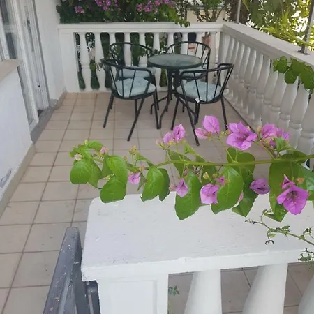 Iva Vodice